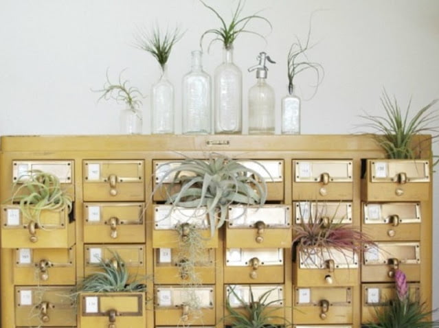 plant pot display ideas plant pot display ideas