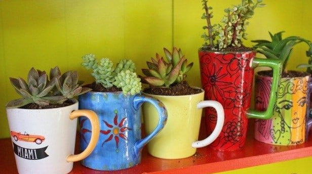 decorative pots for indoor plants