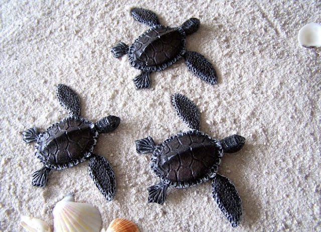 turtle decorations for home