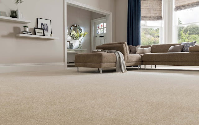 light brown carpet living room ideas