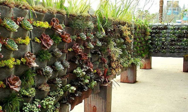 vertical garden design