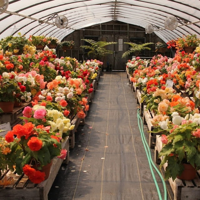modern greenhouse ideas pictures