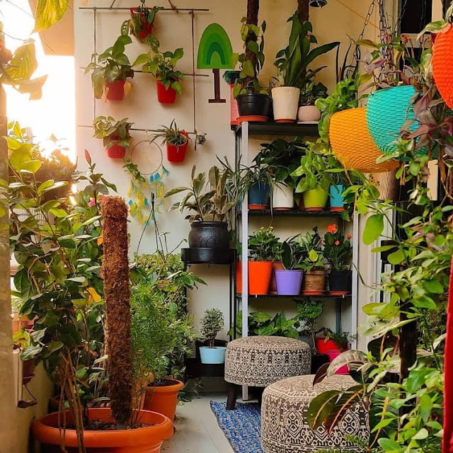 modern greenhouse ideas pictures