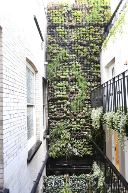vertical garden design