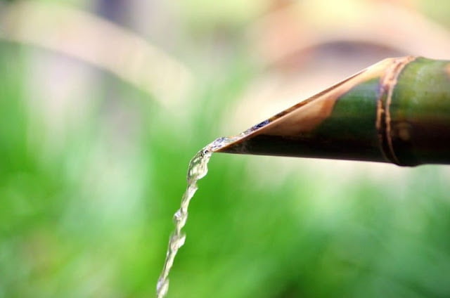 health benefits of bamboo water