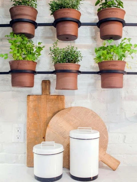 traditional potted herb garden