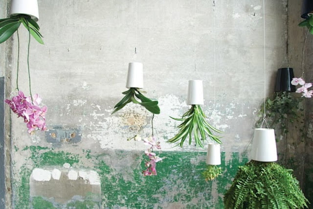 plant pot display ideas plant pot display ideas
