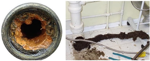 clogged sewer line in basement clogged sewer line in basement