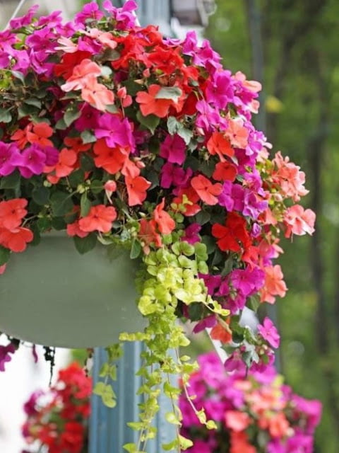 vertical garden design