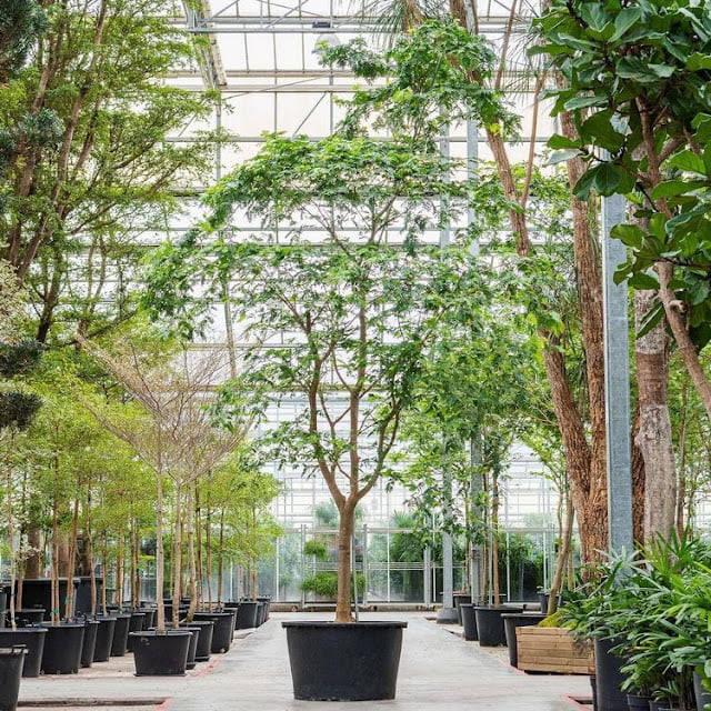 modern greenhouse ideas pictures