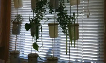 Top 10 Indoor Herb Garden Ideas