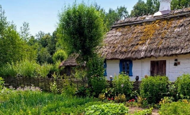 Small Houses in Village