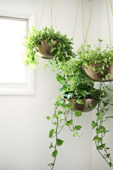 decorative pots for indoor plants