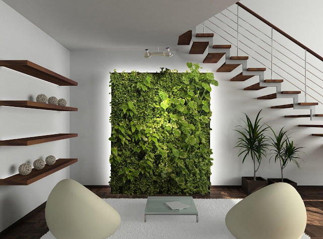 living room decor ideas with plants