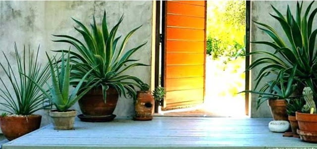 home terrace decoration