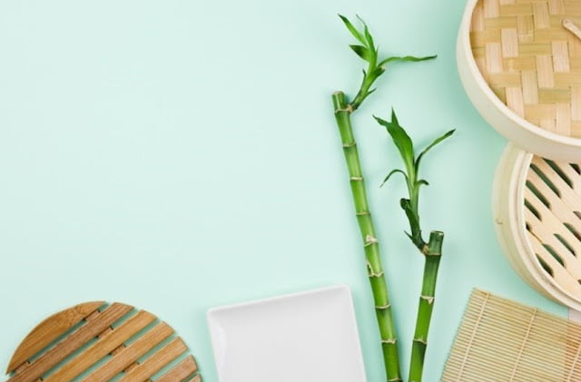 how to care for water bamboo