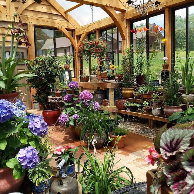 modern greenhouse ideas pictures