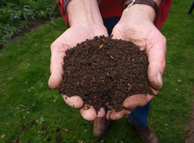 how to make compost from kitchen waste how to make compost from kitchen waste