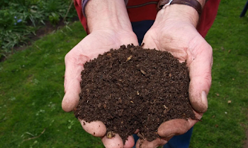 5 Ways to Make Compost From Kitchen Waste, Super Easy!