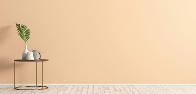 Coral House Paint