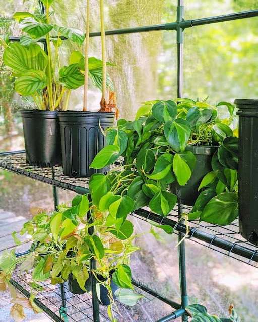 modern greenhouse ideas pictures