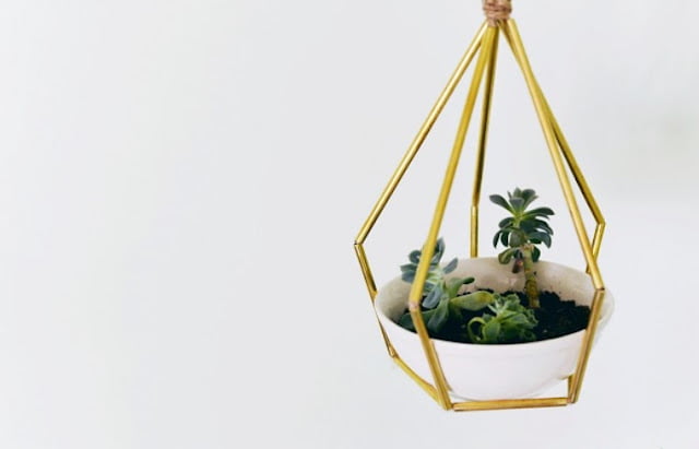 plant pot display ideas plant pot display ideas