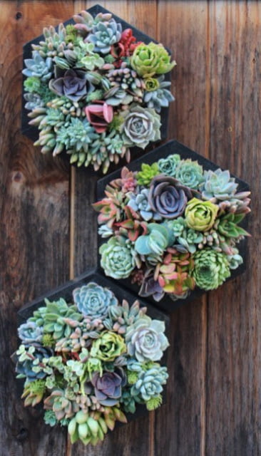 vertical garden design