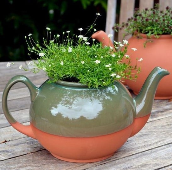 decorative pots for indoor plants