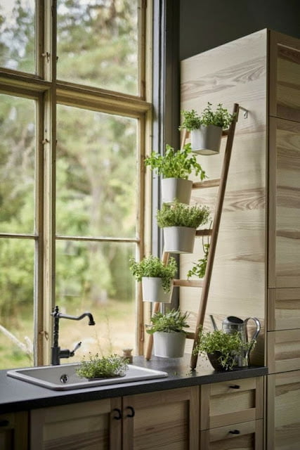 ladder flower shelf model