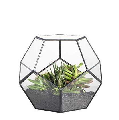 decorative pots for indoor plants