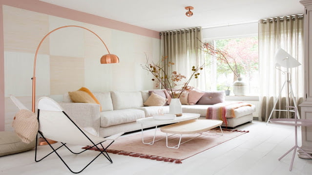 Blush House Paint Color