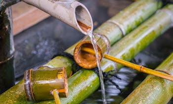 8 Health Benefits of Bamboo Water