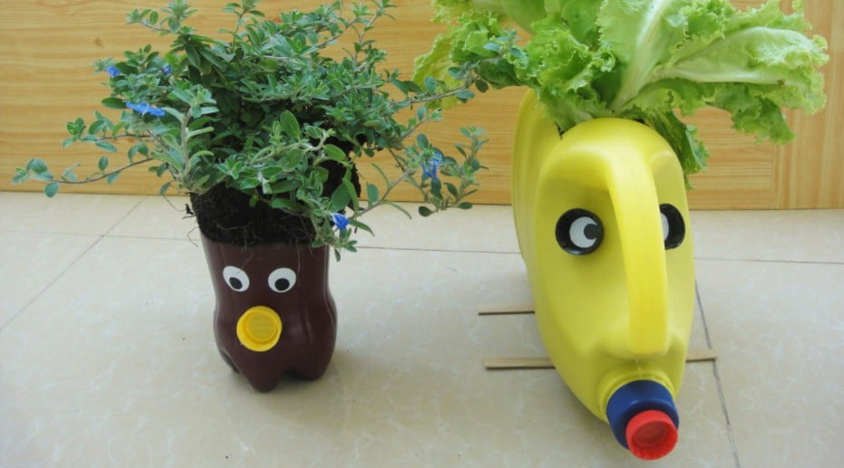 decorative pots for indoor plants