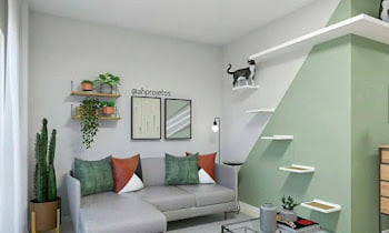 Drawing Room Paint Colors to Make it Look Spacious and Luxurious