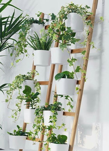 Small Garden Inspirations in the House