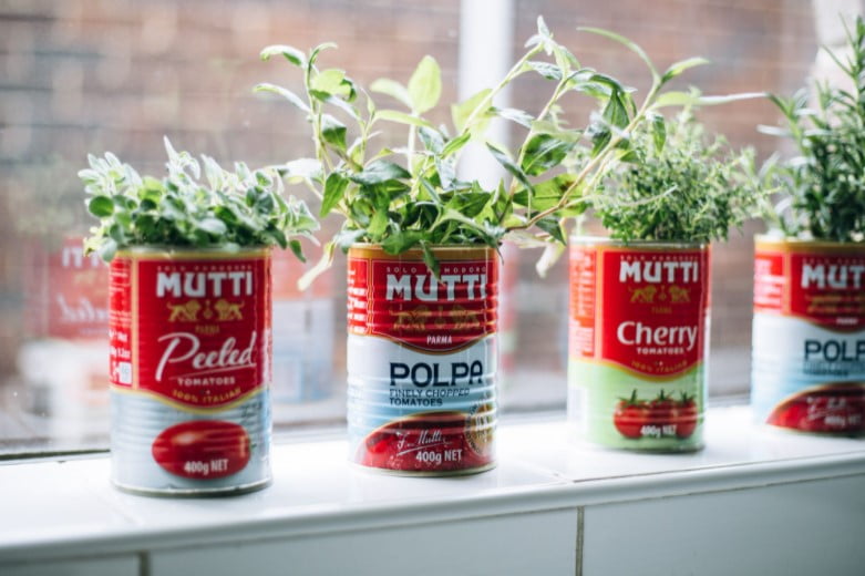 decorative pots for indoor plants