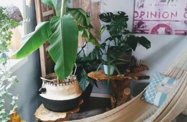 hammock decoration