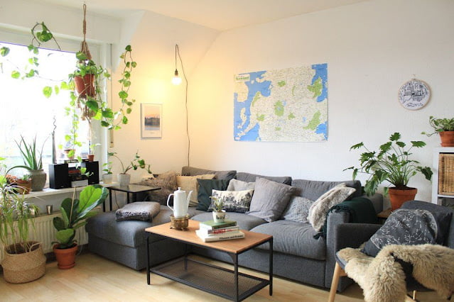 living room decor ideas with plants