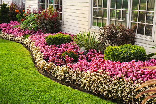 comment fleurir le jardin