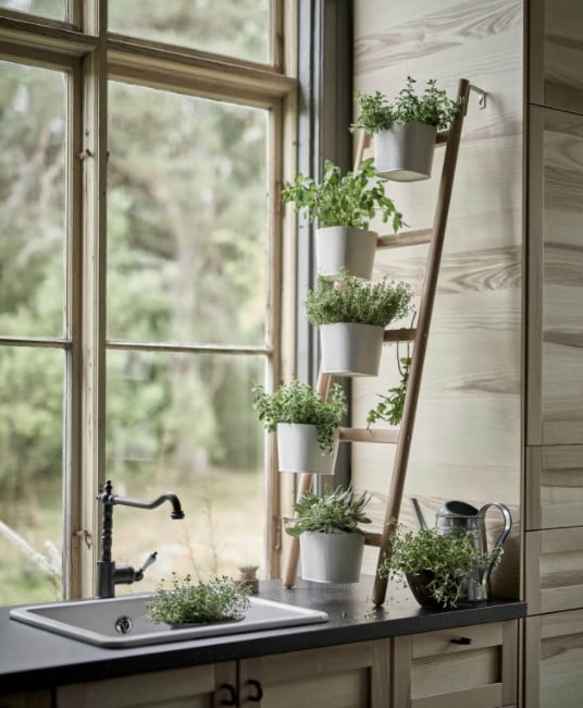 decorative pots for indoor plants