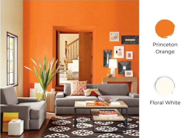 2 colour combination for living room