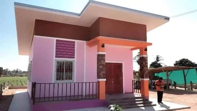 natural low budget simple house design