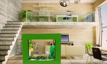 Beautify Your Home With These 6 Aquarium Designs