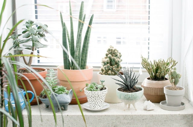 bathroom decorating tips