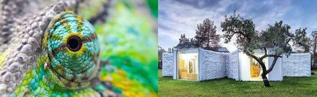 biomimetic architecture works