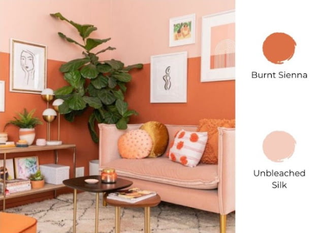 2 colour combination for living room
