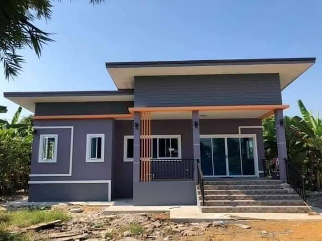 natural low budget simple house design