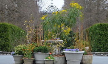12 Best Container Garden Ideas