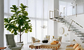 Unique Decoration Ideas, Placing Trees Indoors