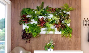 7 Unique Ways To Place Ornamental Plants At Home